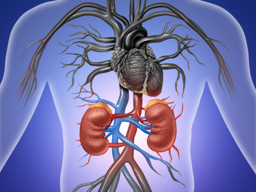 Kardio-renálně-metabolický syndrom