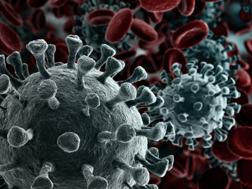 Koronavirus v právu