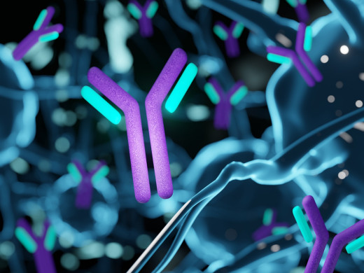 Bude se deprese léčit monoklonálními protilátkami?