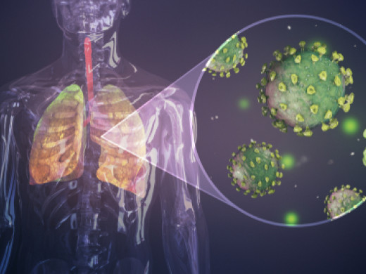 Zkušenosti s COVID-19