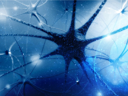 Nový typ neutrofilních granulocytů navozuje regeneraci axonů