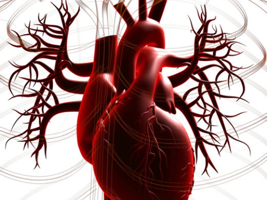 Duševní zdraví je důležité i pro léčbu a prevenci nemocí srdce